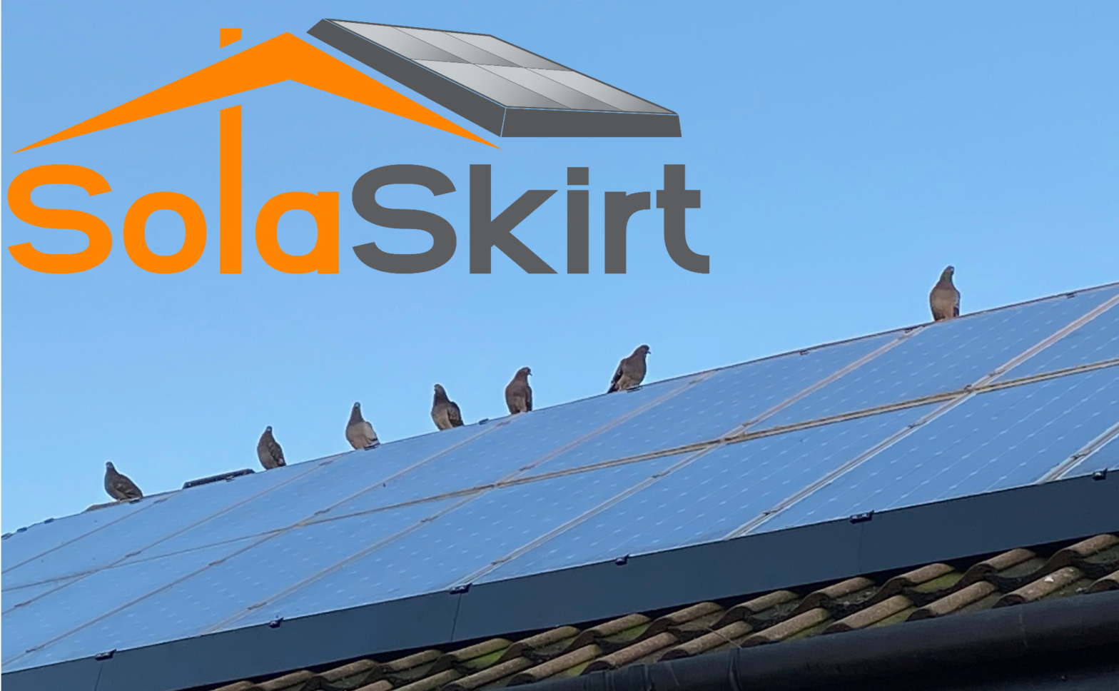 Solar Panel Pigeon Protection - London & Surrey