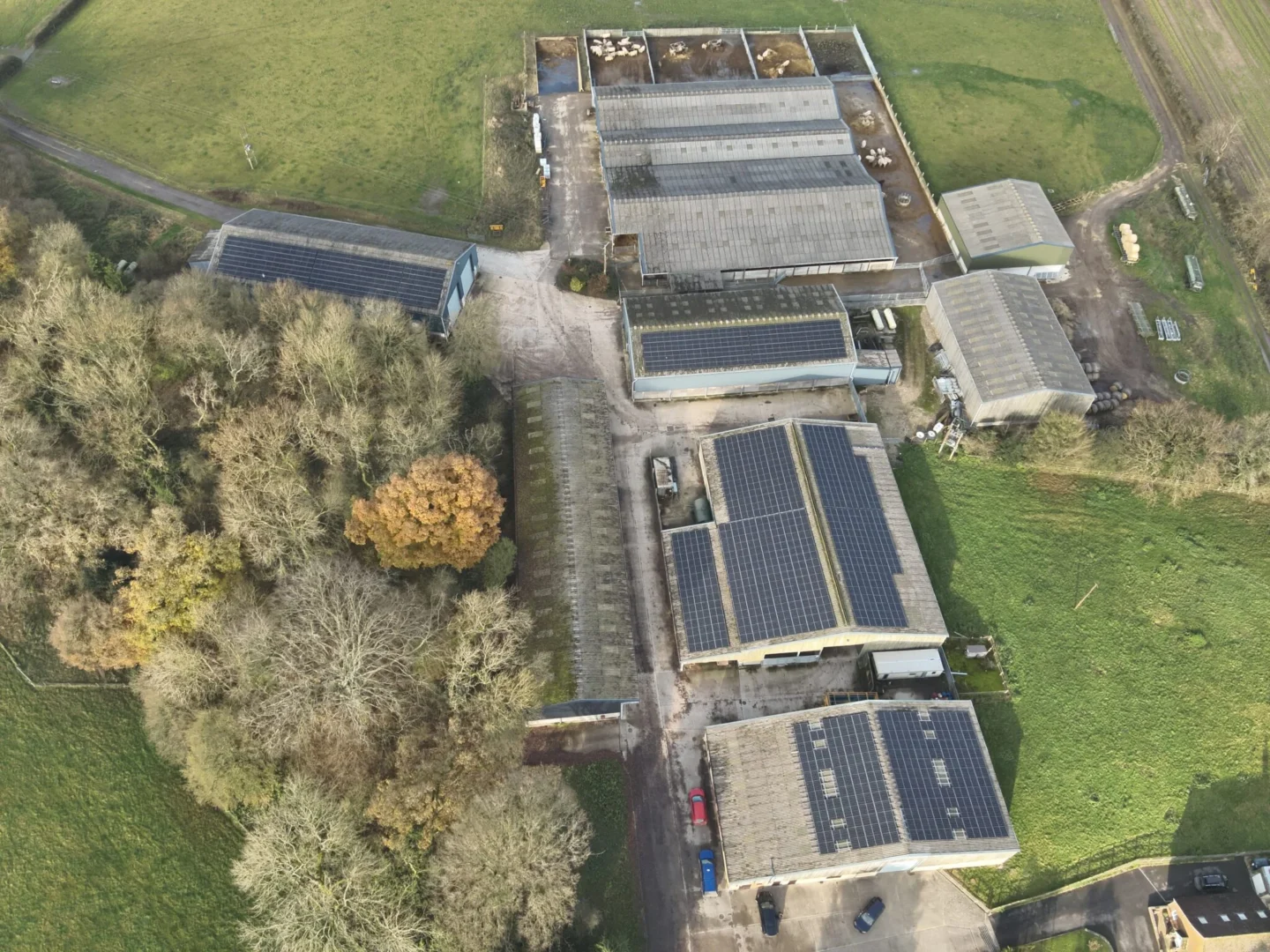 Aerial view of solar panels on multiple farm buildings