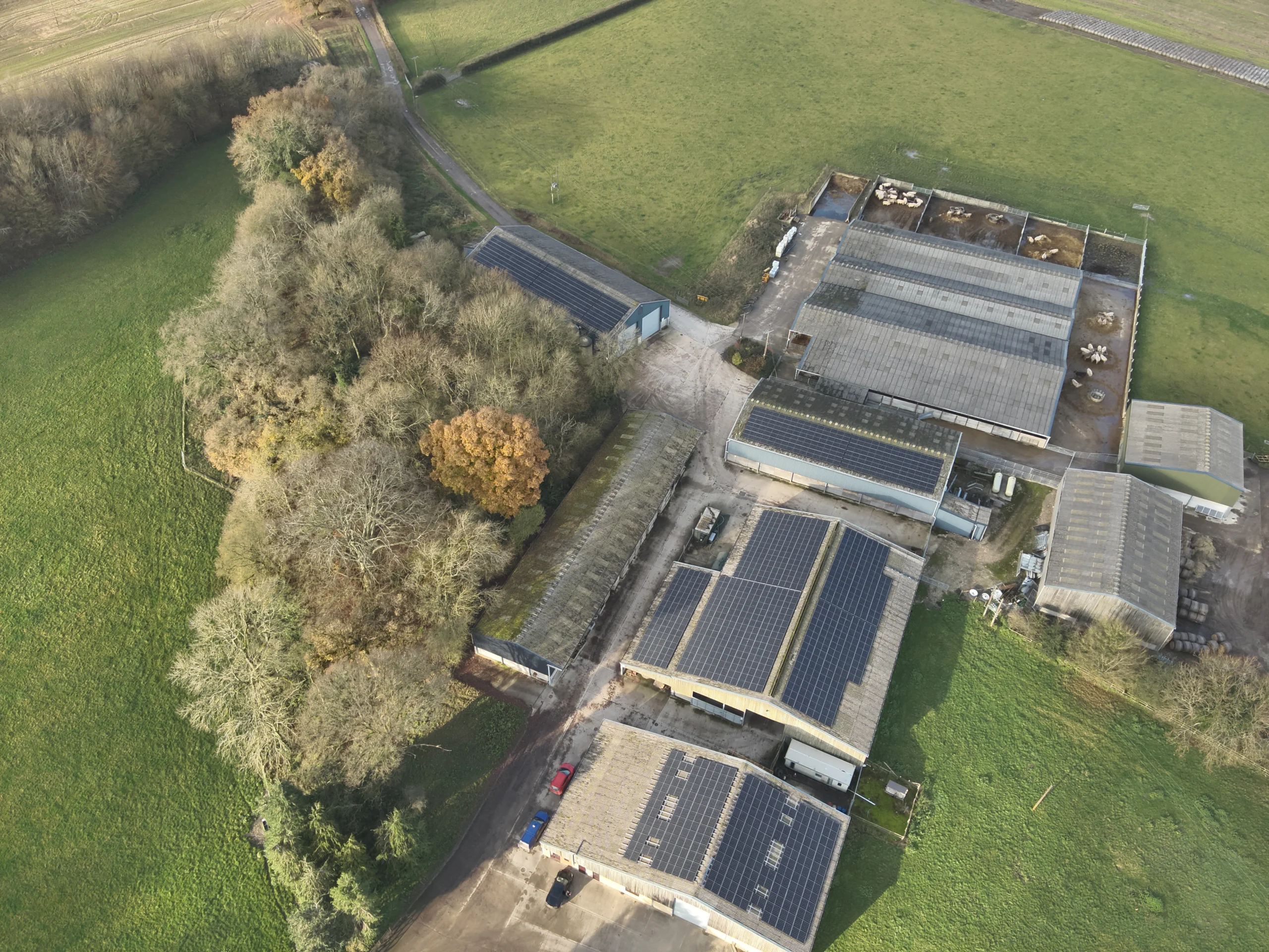 Aerial view of solar panels on multiple farm buildings